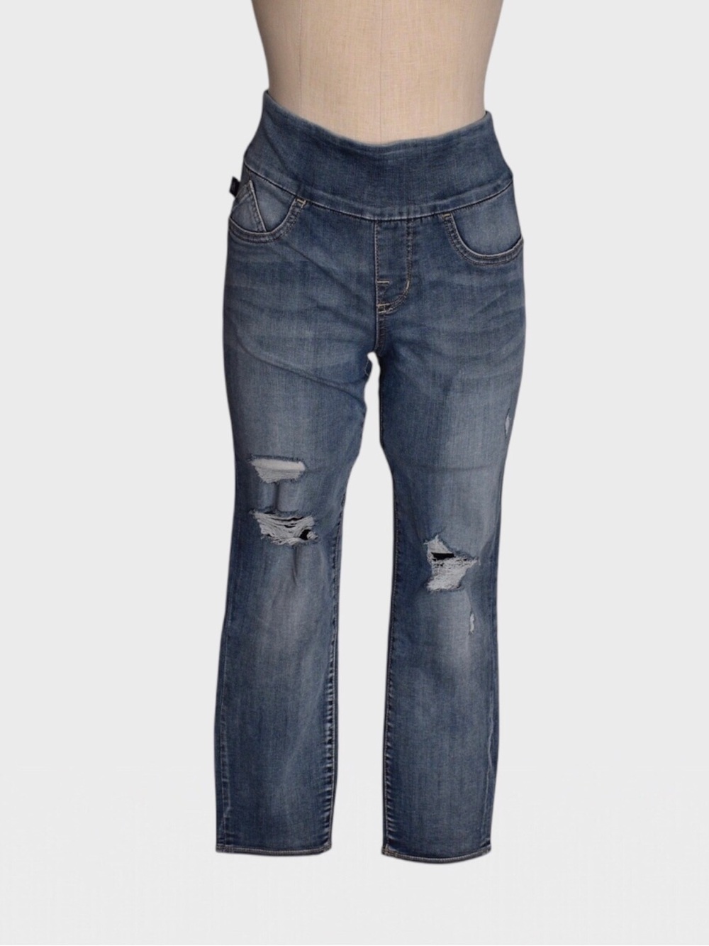 Rock & Republic Denim Rx Fever Pull On Distressed Fever Crop Jeans